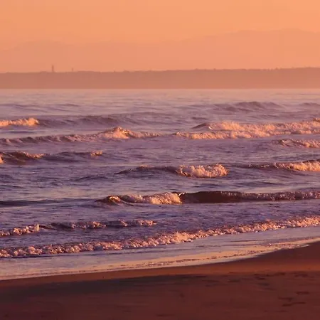 Petite Maison Confort Apartment